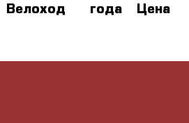 Велоход 2-3 года › Цена ­ 2 000 - Алтайский край Дети и материнство » Детский транспорт   